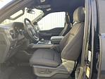 New 2025 Ford F-150 XLT SuperCrew Cab for sale #HF3728 - photo 9