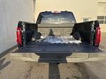 New 2025 Ford F-150 XLT SuperCrew Cab for sale #HF3728 - photo 22