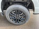 2026 Ford F-150 SuperCrew Cab 4WD Pickup for sale #HF3885 - photo 40