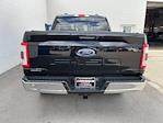 2023 Ford F-150 SuperCrew Cab 4WD Pickup for sale #HFP1506 - photo 8