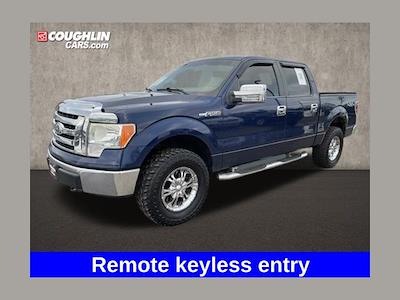 Used 2010 Ford F-150 - photo 1