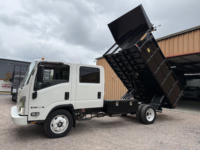 New 2024 Isuzu NQR Crew Cab Dump Truck for sale #54DE5J1D8RS500127 - photo 1