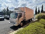 New 2024 Hino S52 Refrigerated Body for sale #JALEMW169R7305953 - photo 8