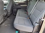 2023 Chevrolet Silverado 1500 Crew Cab RWD Pickup for sale #6C248920 - photo 10