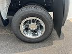 2024 Chevrolet Silverado 3500 Crew Cab 4WD Pickup for sale #LRC4125181A - photo 20