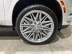 Used 2025 Cadillac Escalade Premium Luxury for sale #TX069995A - photo 22