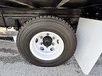 Used 2018 Isuzu NPR-HD Regular Cab Morgan Truck Body Box Truck with Liftgate for sale #009249 - photo 24