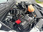 Used 2022 Ford F-150 Regular Cab for sale #D24232 - photo 25