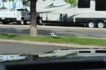 New 2025 GMC Sierra EV Denali Crew Cab 4WD Pickup for sale #1N1841 - photo 27