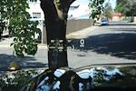 2025 GMC Sierra 1500 Crew Cab 4x4 Pickup for sale #1N1857 - photo 26