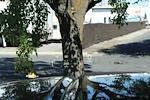 New 2025 GMC Sierra 3500 AT4 Crew Cab 4x4 Pickup for sale #1N1915 - photo 27