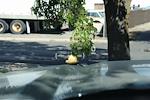 New 2026 GMC Sierra 1500 Denali Ultimate Crew Cab 4x4 Pickup for sale #1N1937 - photo 27