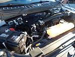 Used 2021 Ford F-150 XL Regular Cab for sale #23849 - photo 26