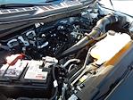 Used 2024 Ford F-150 XL Regular Cab for sale #23853 - photo 26