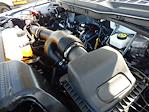 Used 2024 Ford F-150 XL Regular Cab for sale #23853 - photo 27
