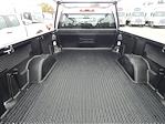 Used 2024 Chevrolet Silverado 1500 Work Truck Regular Cab for sale #23886 - photo 14