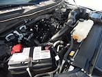 Used 2023 Ford F-150 XL SuperCrew Cab for sale #23895 - photo 27
