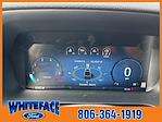 2025 Ford F-150 SuperCrew Cab 4WD Pickup for sale #FA35362 - photo 20