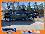 2025 Ford F-150 SuperCrew Cab 4WD Pickup for sale #FD46098 - photo 19