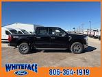2025 Ford F-150 SuperCrew Cab 4WD Pickup for sale #FD46098 - photo 23