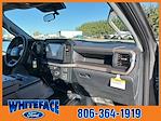 2025 Ford F-150 SuperCrew Cab 4WD Pickup for sale #FD61022 - photo 45