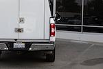 2019 Ford F-150 Super Cab 4x2 Pickup for sale #58098 - photo 13