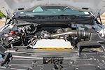 2022 Ford F-150 Regular Cab RWD Pickup for sale #59415 - photo 13
