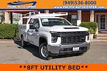 2020 Chevrolet Silverado 2500 Double Cab SRW RWD Cab Chassis for sale #59670 - photo 1