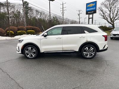 Used 2024 Kia Sorento Hybrid - photo 1