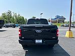 2019 Ford F-150 SuperCrew Cab 4WD Pickup for sale #5120 - photo 12