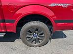 2019 Ford F-150 SuperCrew Cab 4WD Pickup for sale #5146A - photo 10
