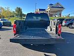 2023 Ford F-150 SuperCrew Cab 4WD Pickup for sale #5177 - photo 13