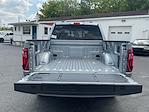2024 Ford F-150 SuperCrew Cab 4WD Pickup for sale #51R179 - photo 8