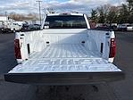 2025 Ford F-150 SuperCrew Cab 4WD Pickup for sale #51S170 - photo 9