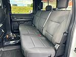 2024 Ford F-150 SuperCrew Cab 4WD Pickup for sale #5244 - photo 10