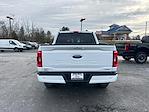 2023 Ford F-150 SuperCrew Cab 4WD Pickup for sale #5292 - photo 11