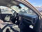 New 2025 Ford Ranger XLT SuperCrew Cab for sale #58S335 - photo 31