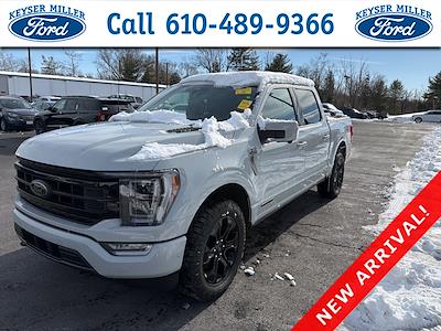 Used 2023 Ford F-150 Platinum SuperCrew Cab for sale #6005 - photo 1