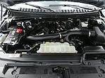 2023 Ford Expedition 4x4 SUV for sale #600817R - photo 50