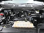2023 Ford F-150 SuperCrew Cab 4x2 Pickup for sale #600957A - photo 29