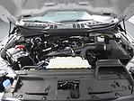 2024 Ford F-150 SuperCrew Cab 4x2 Pickup for sale #6240467R - photo 15