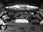 2024 Ford F-150 SuperCrew Cab 4x2 Pickup for sale #6240677 - photo 35