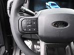 2024 Ford F-150 SuperCrew Cab 4x2 Pickup for sale #6240677 - photo 9