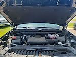 2024 Chevrolet Silverado 1500 Crew Cab 4WD Pickup for sale #TRZ255352 - photo 28