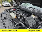 2023 Ford F-150 SuperCrew Cab 4WD Pickup for sale #TSR317026A - photo 31