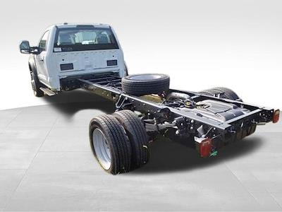 2024 Ford F-550 Regular Cab DRW 4x2 Cab Chassis for sale #5N3292 - photo 2