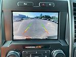 2020 Ford F-150 SuperCrew Cab 4x2 Pickup for sale #5N3548A - photo 26