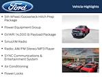 2019 Ford F-350 Crew Cab DRW 4x4 Pickup for sale #5N3894A - photo 9