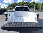 2025 Ram 1500 Crew Cab 4x4 Pickup for sale #5N3900A - photo 10