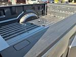 2025 Ford F-350 Crew Cab DRW 4x4 Pickup for sale #5N3975 - photo 16
